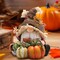 Handmade Swedish Tomte Gnomes Elf for Fall Thanksgiving Decor Gift(Multicolor)